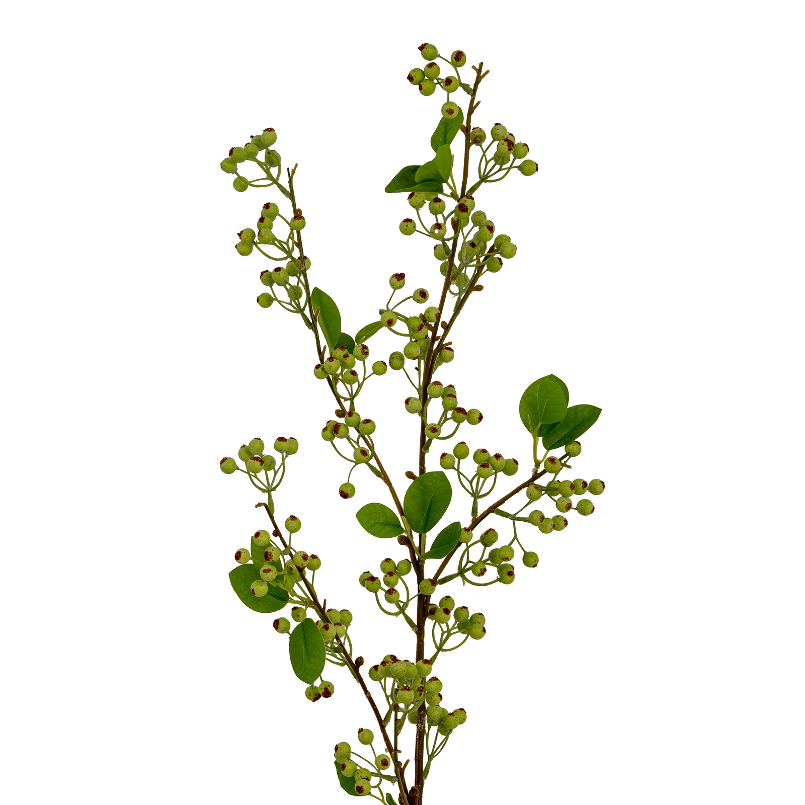 Green Mossberry Large Branch - Image 1