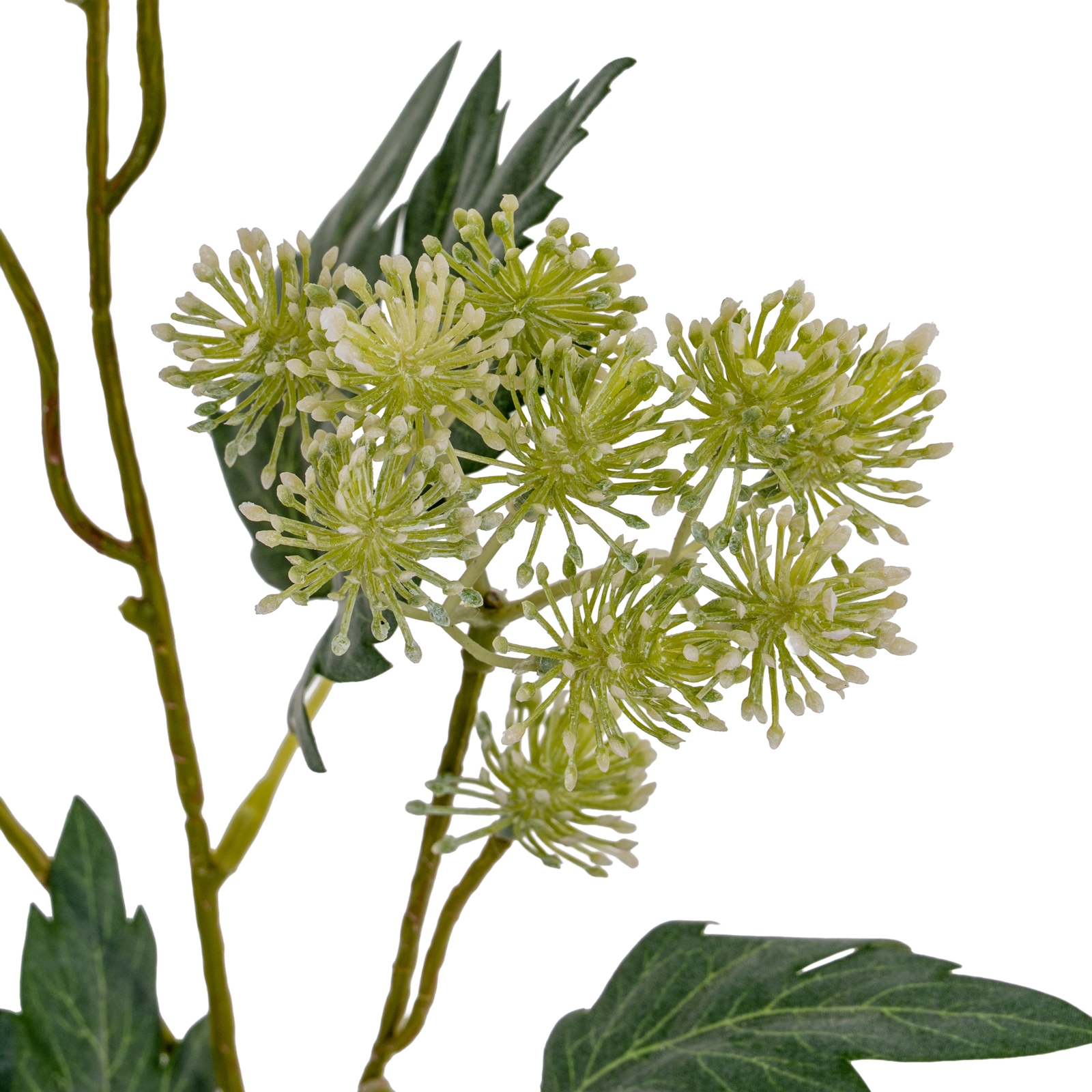 Green French Meadow Spray - Image 3