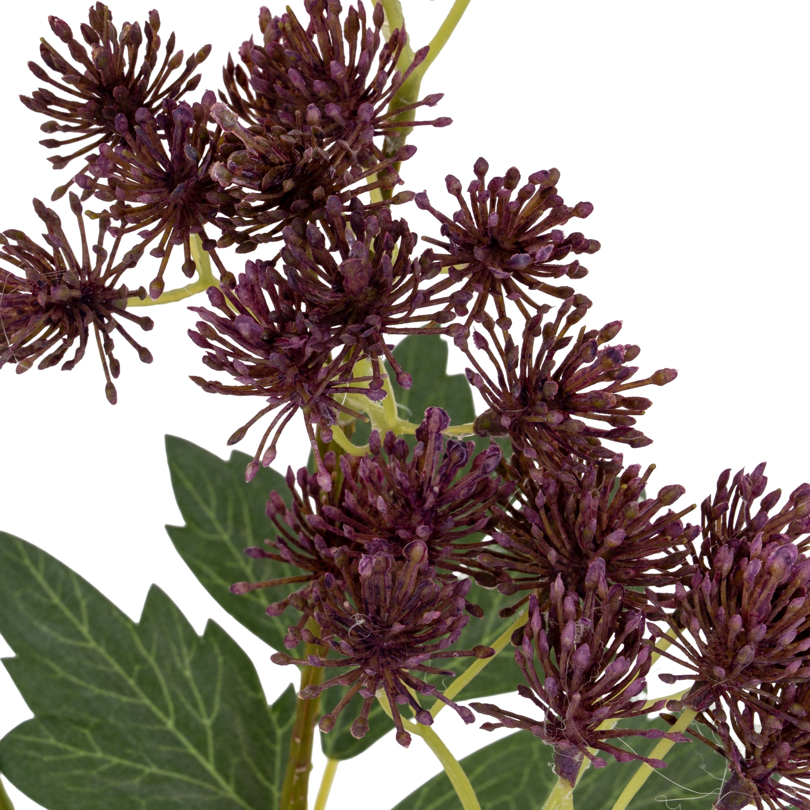 Purple French Meadow Spray - Image 5