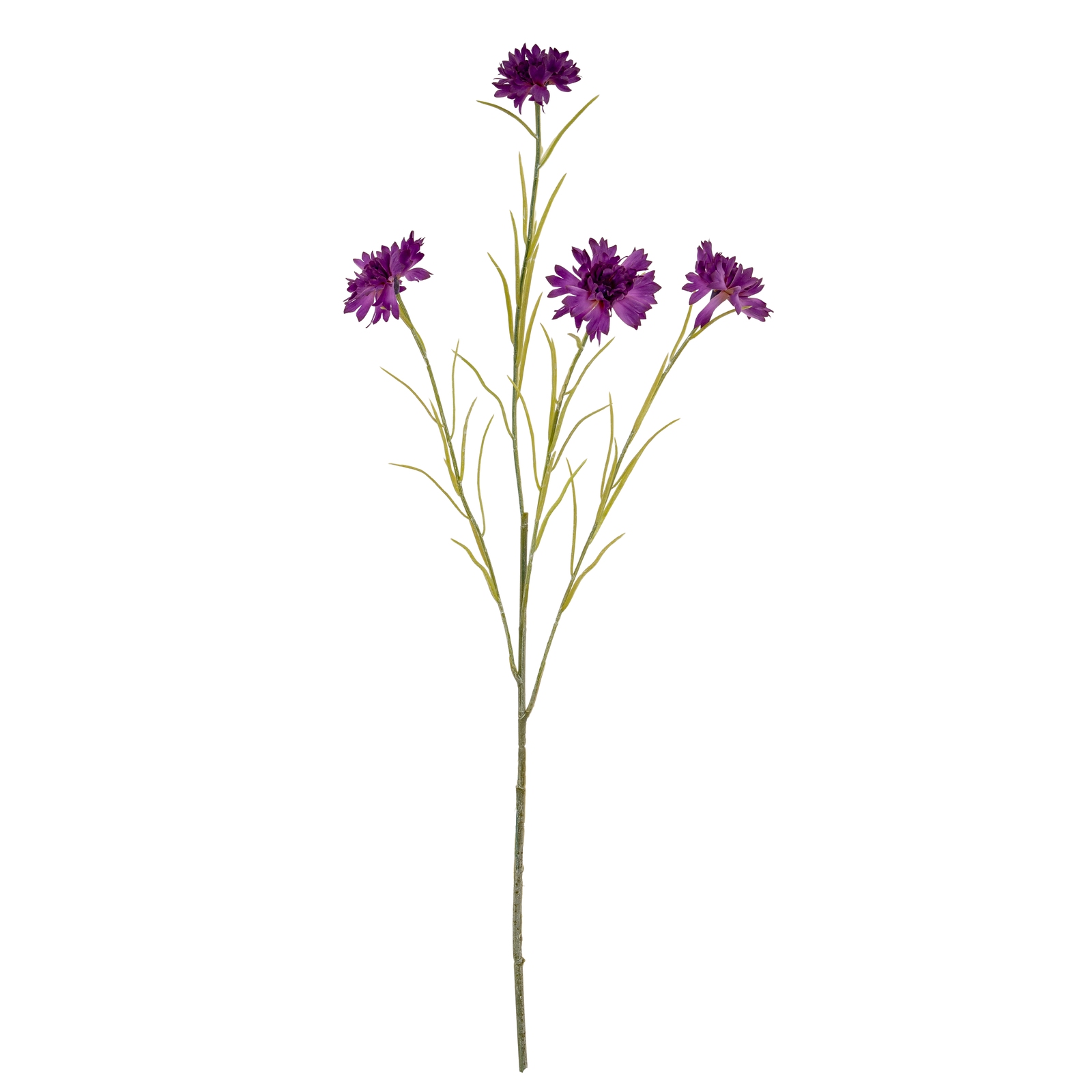 Purple Cornflower Stem - Image 2
