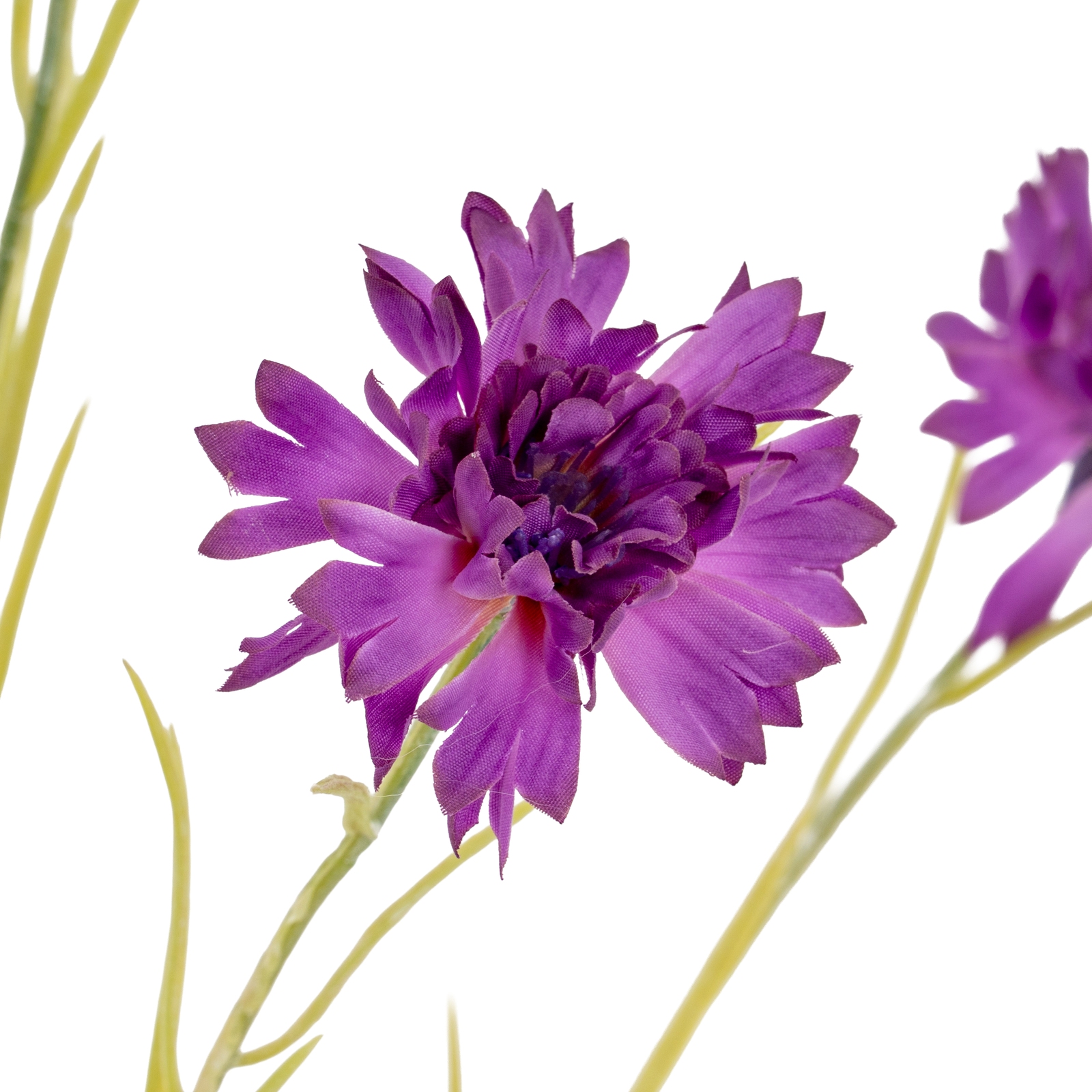Purple Cornflower Stem - Image 3