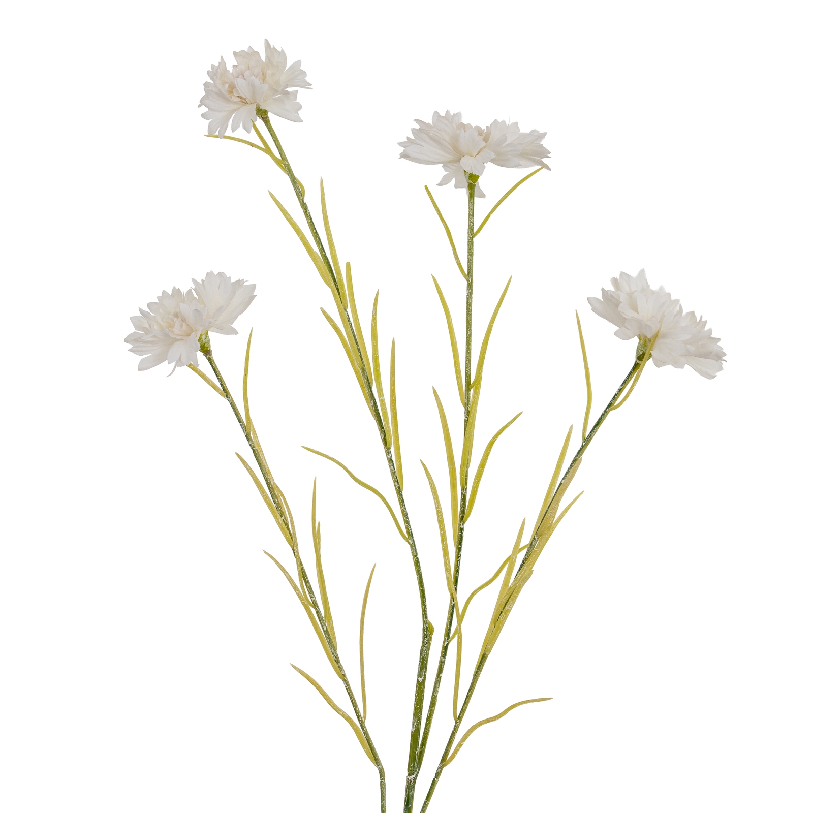White Cornflower Stem - Image 1