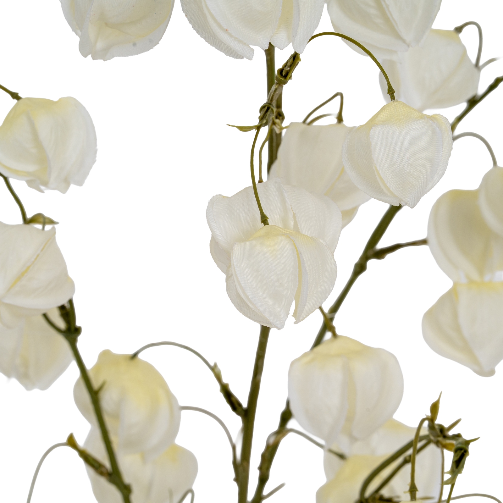 White Physalis Spray - Image 3