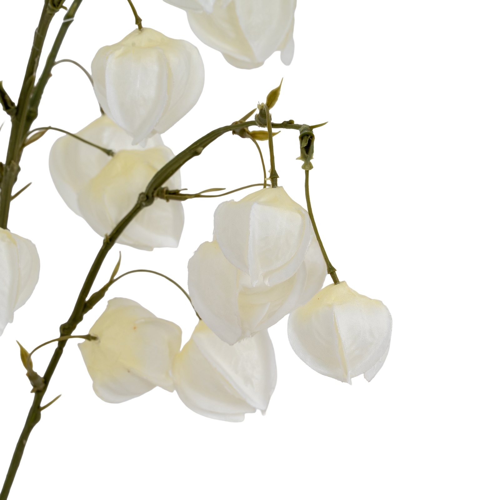 White Physalis Spray - Image 4