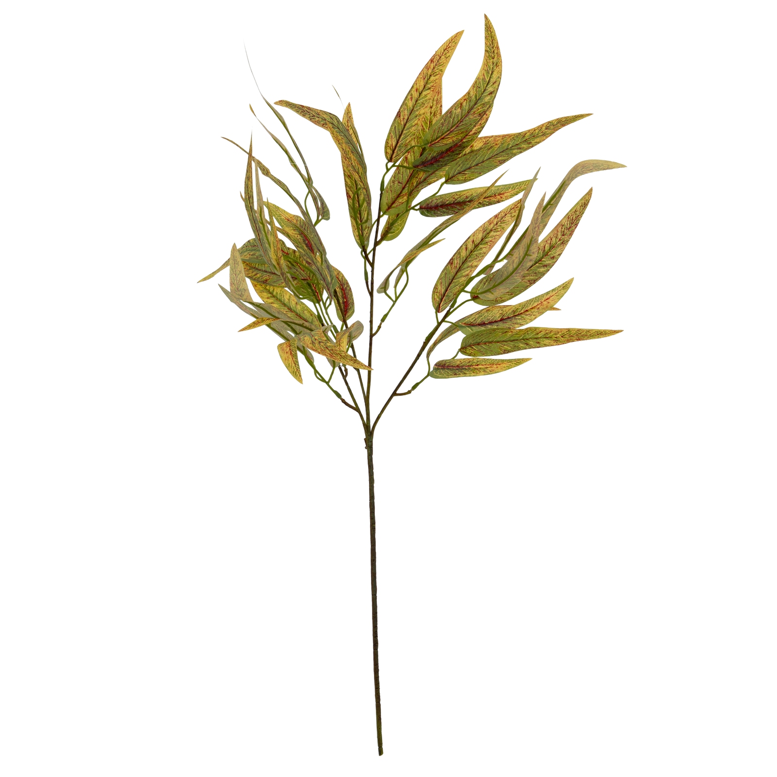 Variegated Long Leaf Eucalyptus Spray - Image 2