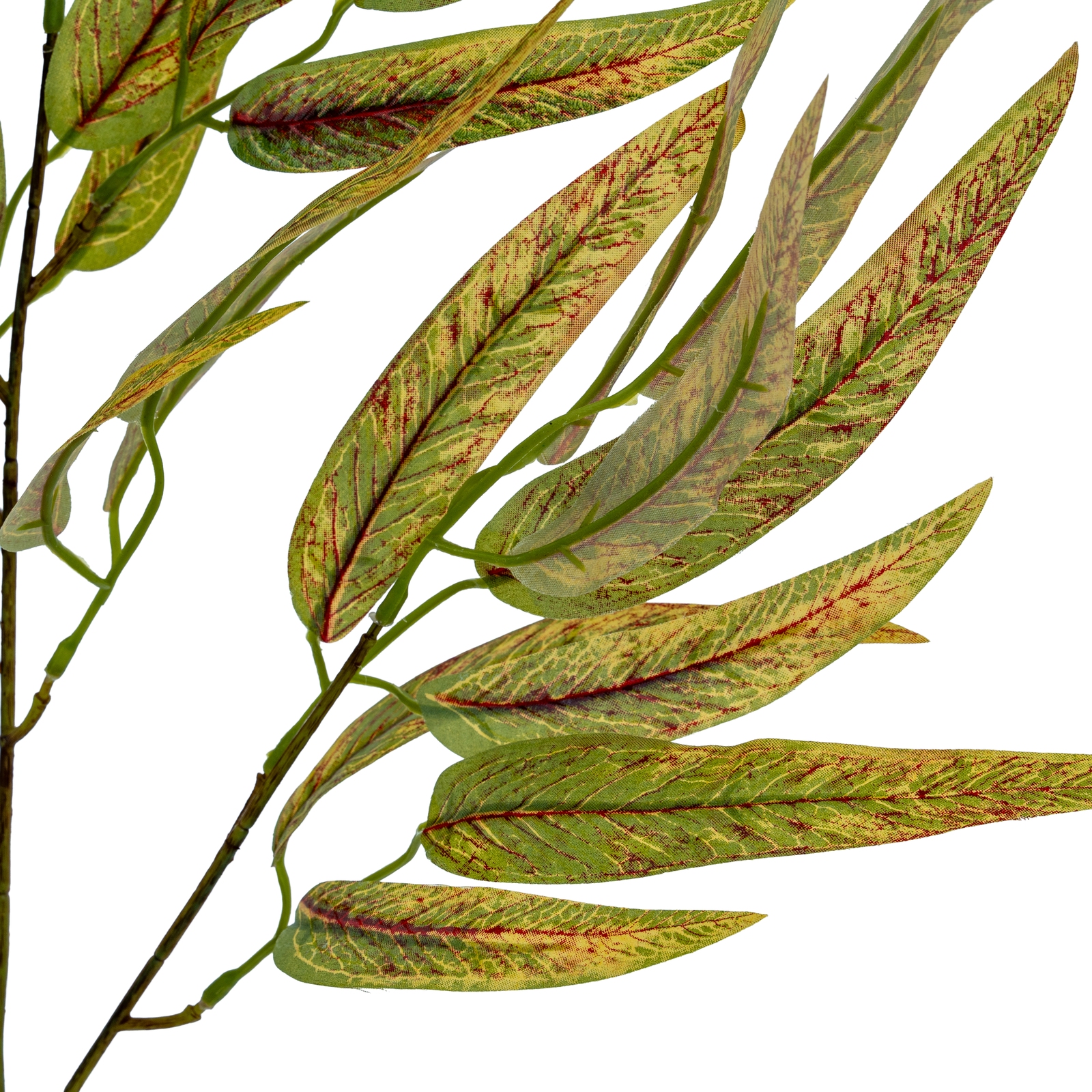 Variegated Long Leaf Eucalyptus Spray - Image 3