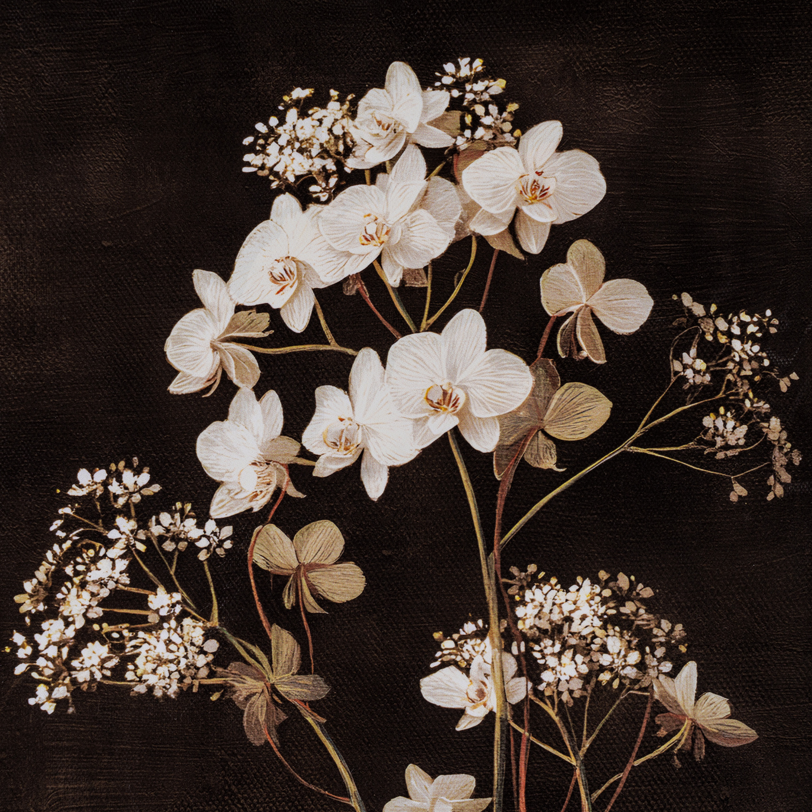 Flora & Fauna Collection Four Botanicals in Classic Frame - Image 2