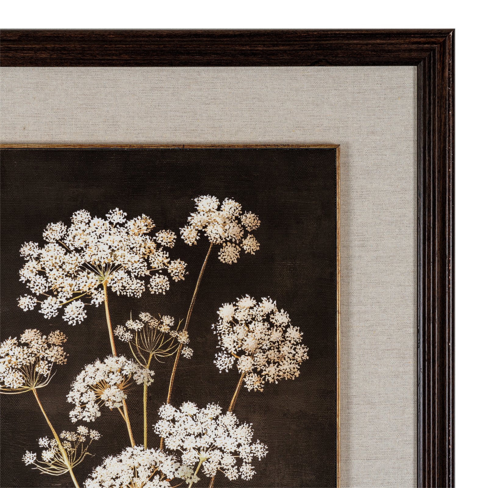 Flora & Fauna Collection Four Botanicals in Classic Frame - Image 3