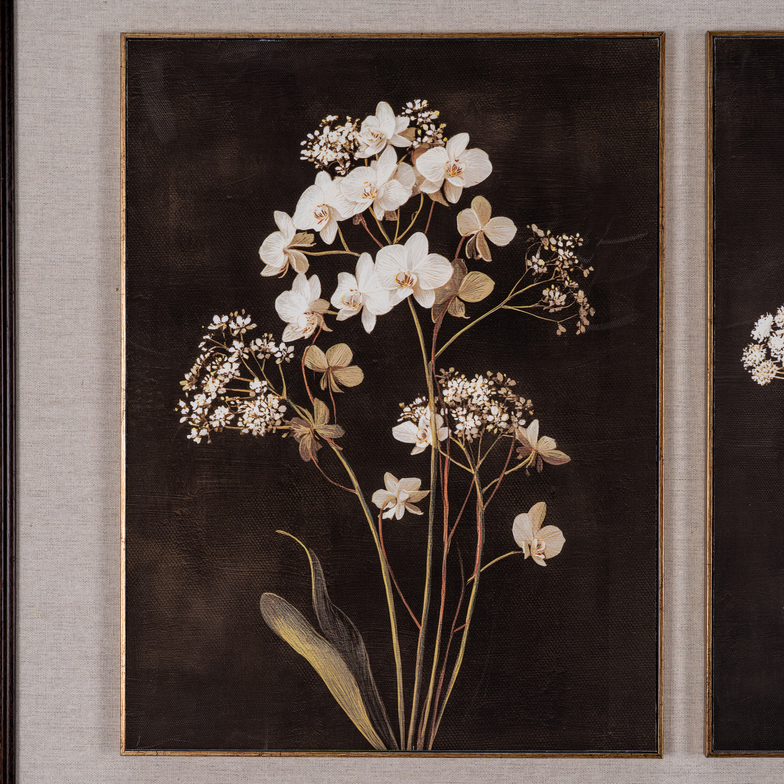 Flora & Fauna Collection Four Botanicals in Classic Frame - Image 6