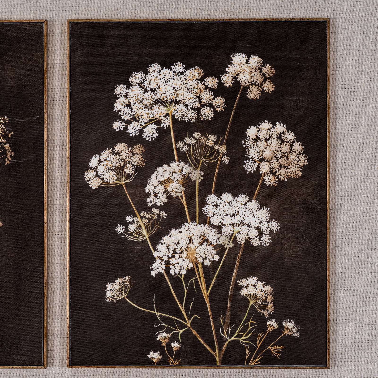 Flora & Fauna Collection Four Botanicals in Classic Frame - Image 7