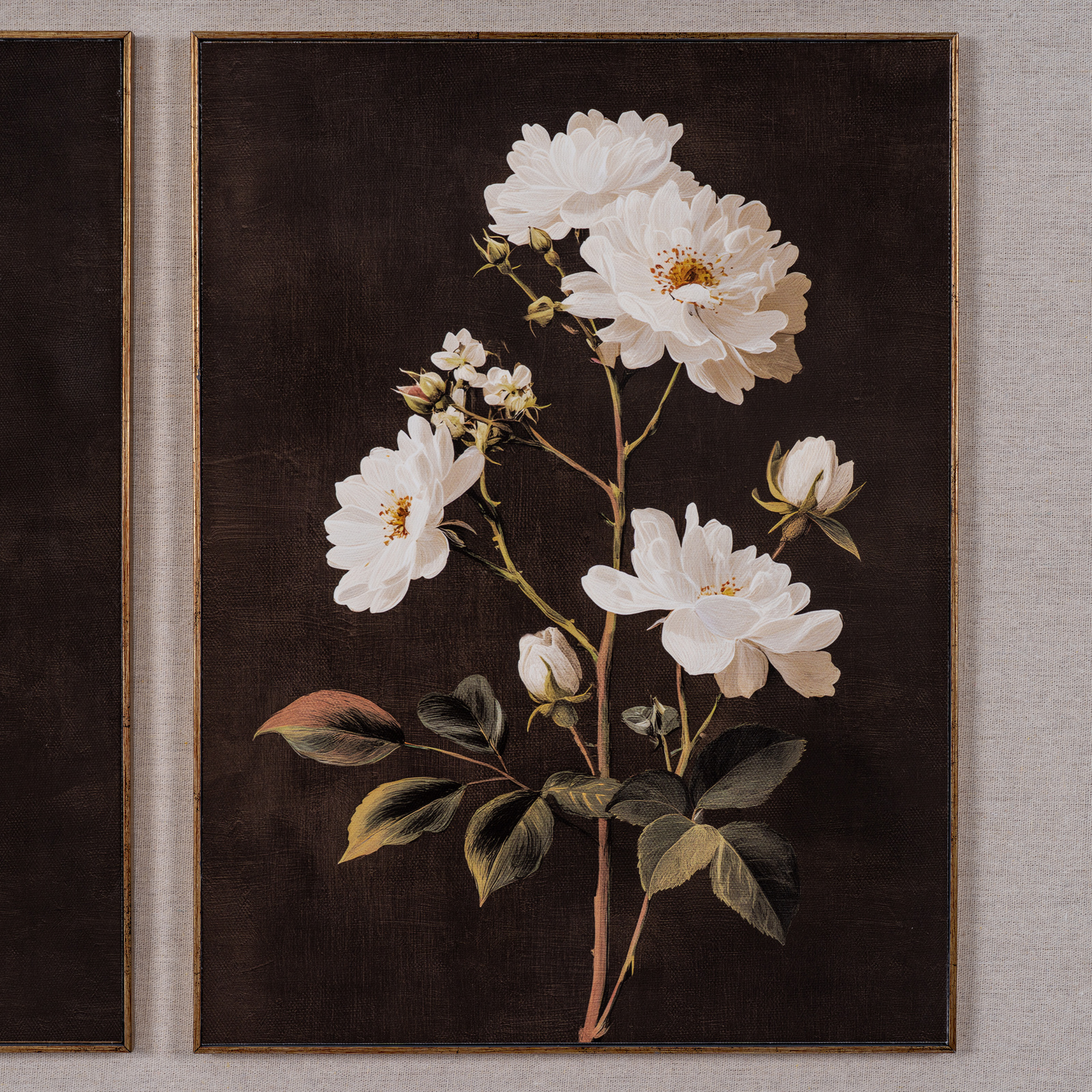 Flora & Fauna Collection Four Botanicals in Classic Frame - Image 8