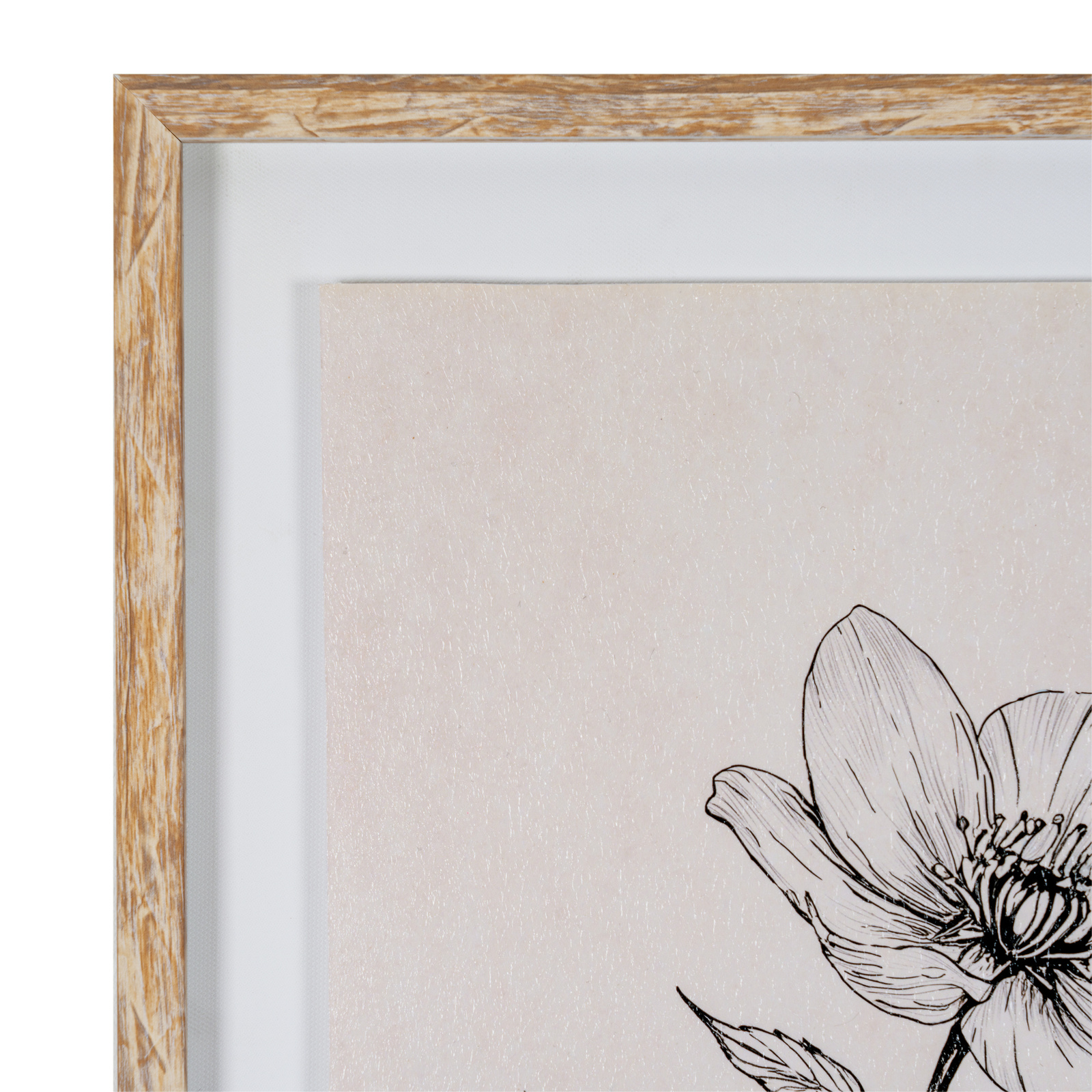 Sketchbook Hellebore in Frame - Image 2