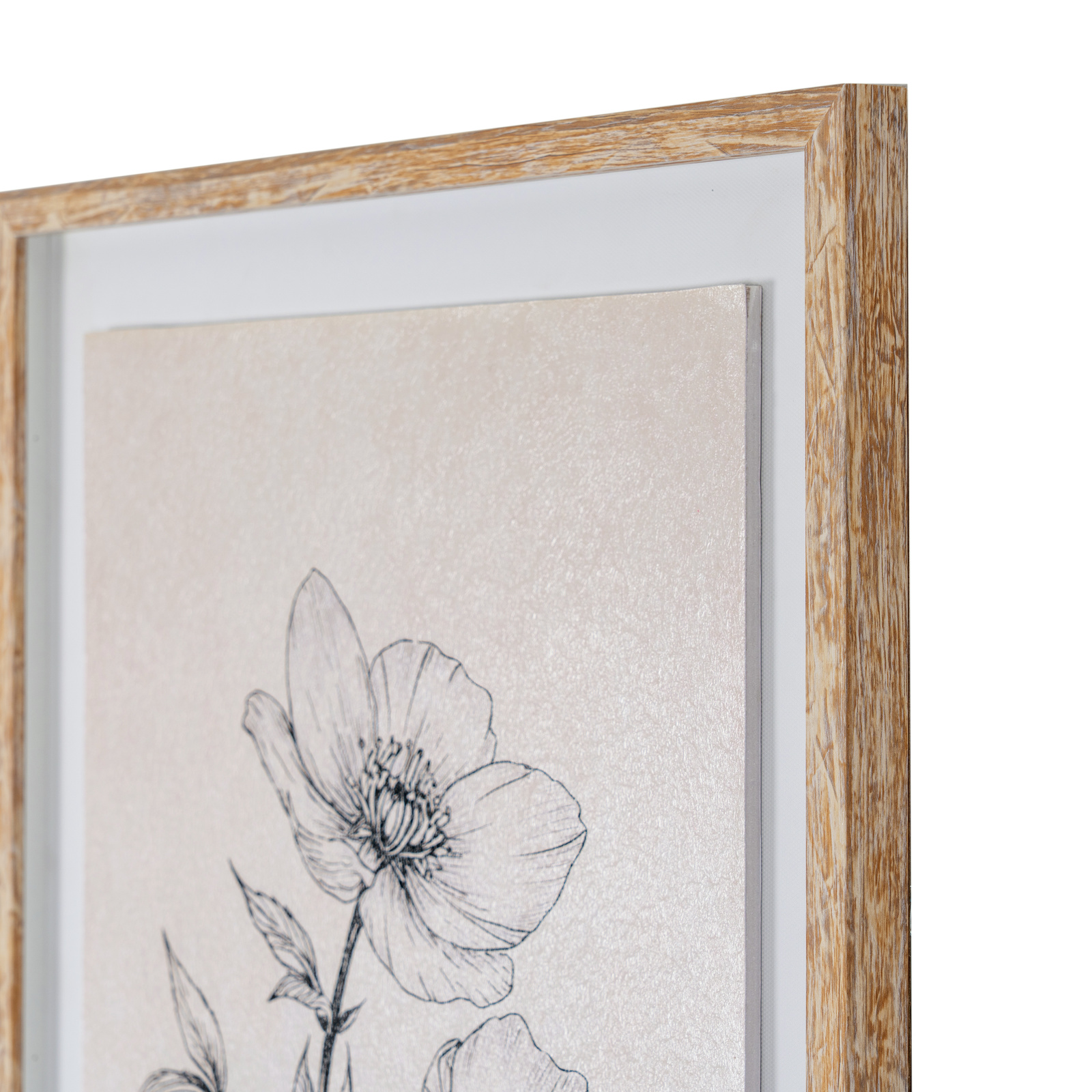 Sketchbook Hellebore in Frame - Image 3