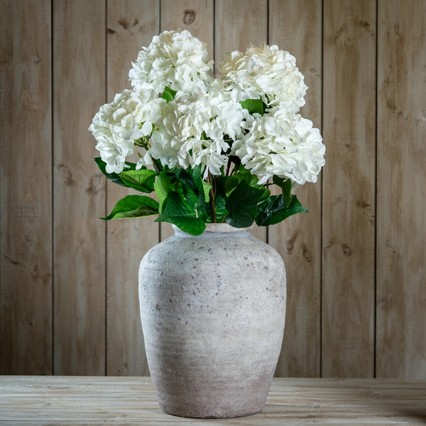 Single White Hydrangea