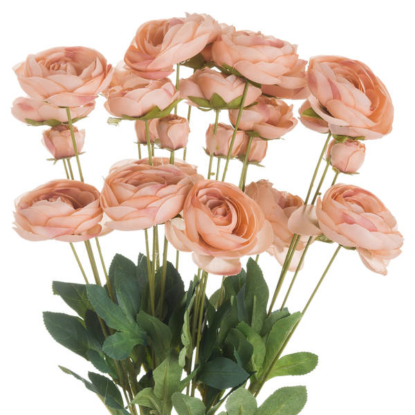 Toffee Ranunculus Wholesale by Hill Interiors