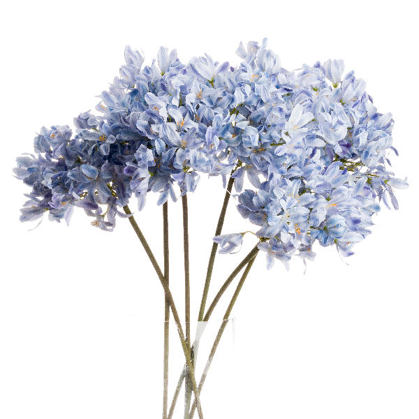 Beau - Small Everlasting Blue Dried Arrangement – Ollie's Blooms & Plants