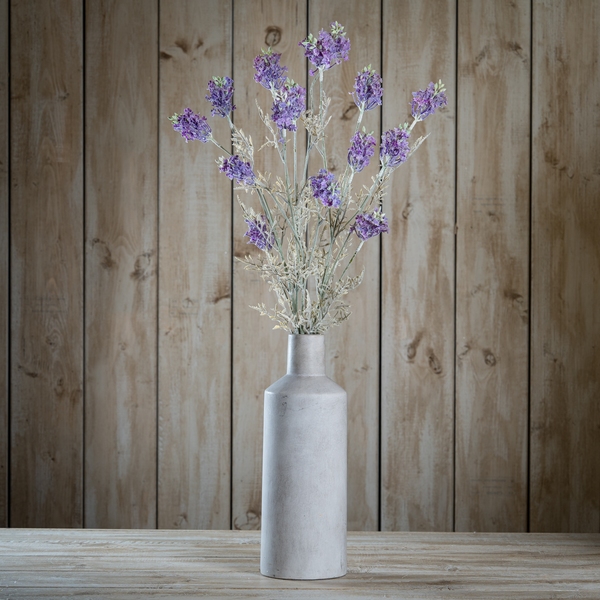 Purple Meadow Flower