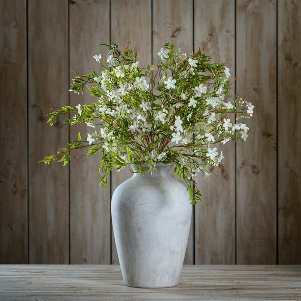 Italian White Bellflower