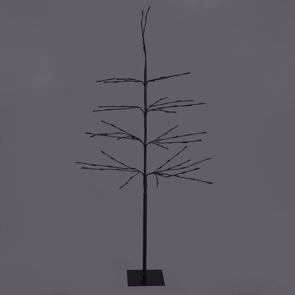 Black Forest Pre-Lit LED Warm Light Medium Tree