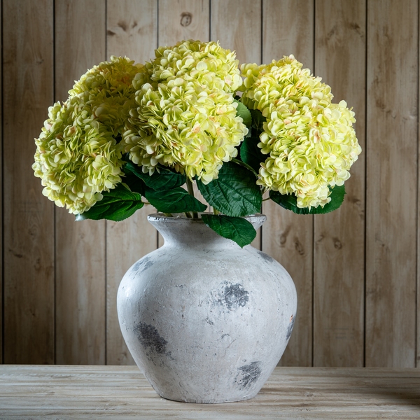 Oversized Green Hydrangea