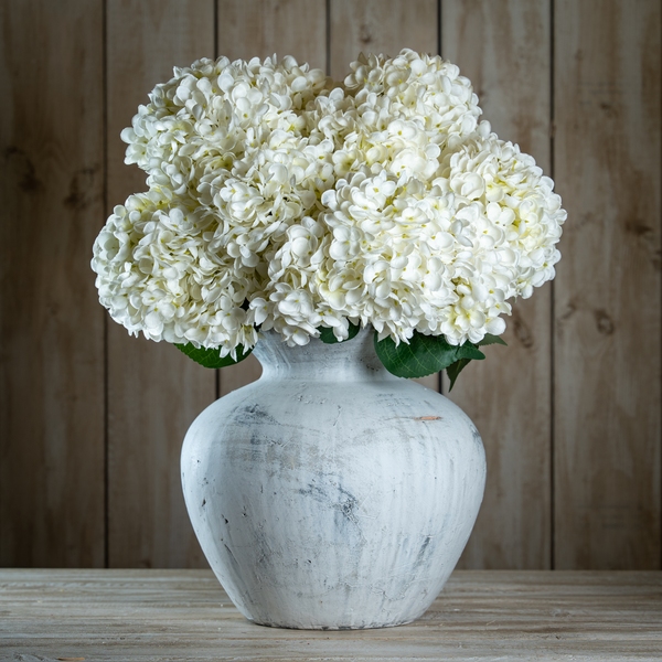 The Natural Garden Collection White Allium