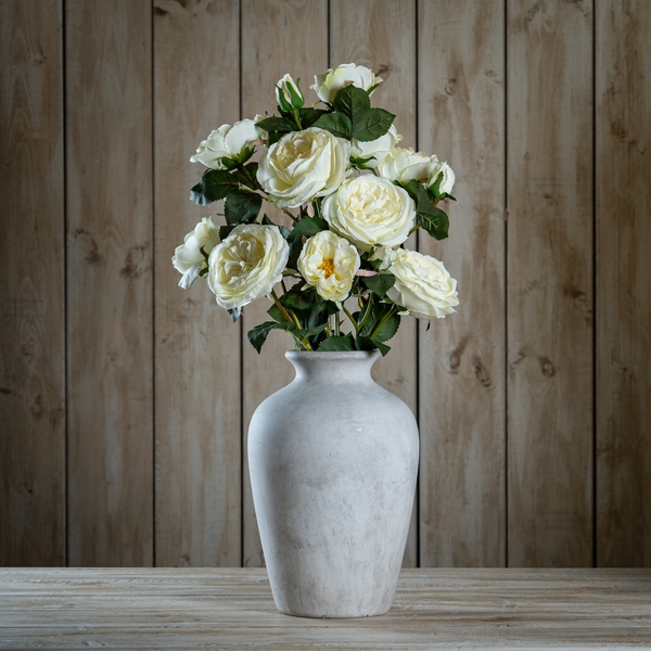 The Natural Garden Collection White Charity Rose