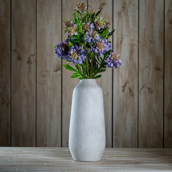 The Natural Garden Collection Purple Scabious Stem