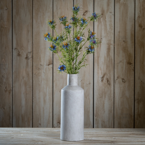 The Natural Garden Collection Purple Nigella Love In A Mist