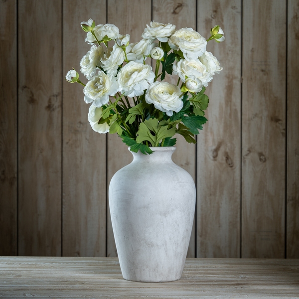 The Natural Garden Collection Apricot Ranunculus