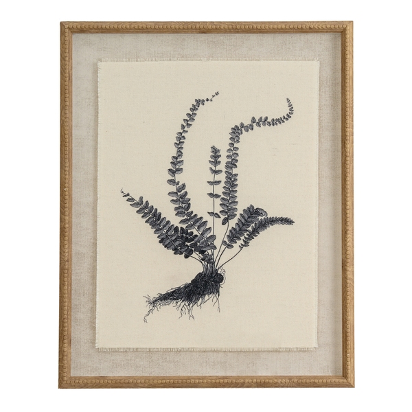 Flora & Fauna Collection Spleenwort On Linen In Beaded Frame