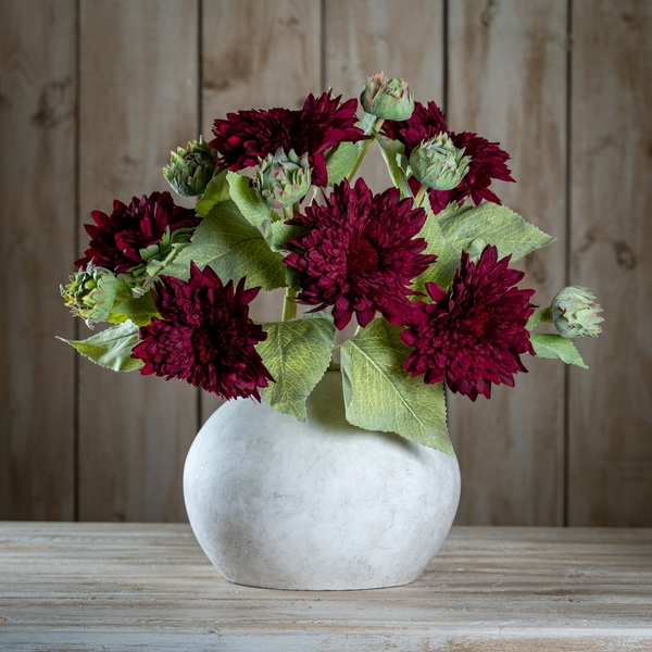 Dahlia Burgundy Raven Stem