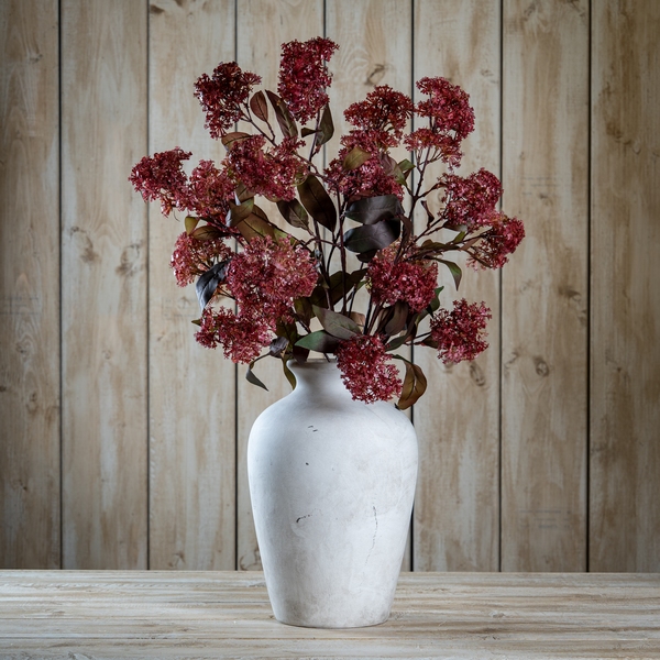 Purple French Meadow Spray