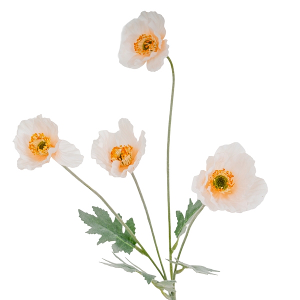 Cream Papaver Poppy Spray