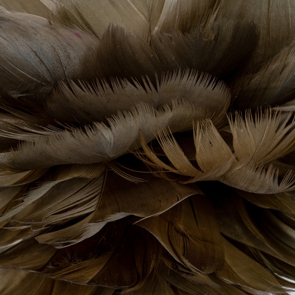 Medium Fawn Feather Ball Decoration