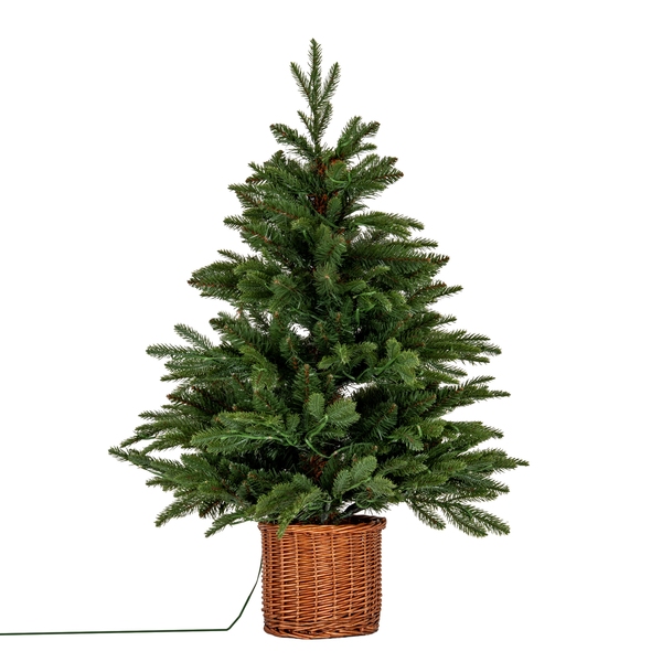 Norway Fir Pre-Lit LLED 300L  Fir Tree In Rattan Pot