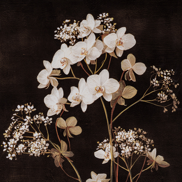 Flora & Fauna Collection Four Botanicals in Classic Frame