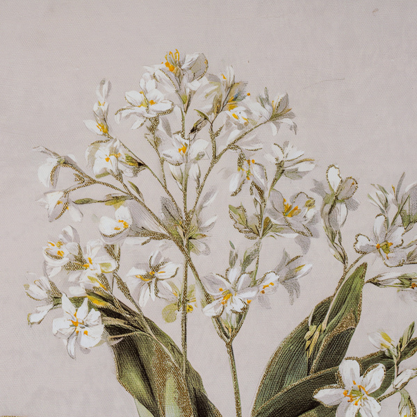 Flora & Fauna Collection White Wildflower on Linen in Frame