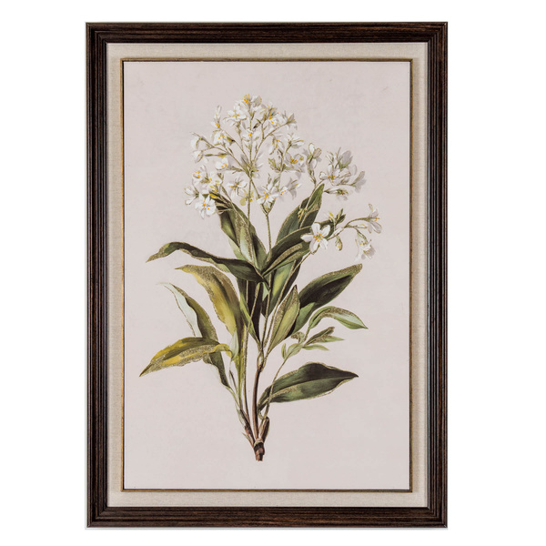 Flora & Fauna Collection White Wildflower on Linen in Frame