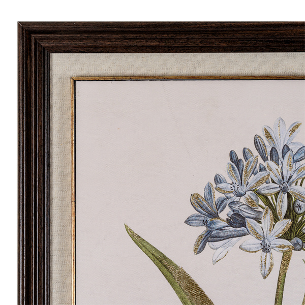 Flora & Fauna Collection Blue Wildflower in Frame