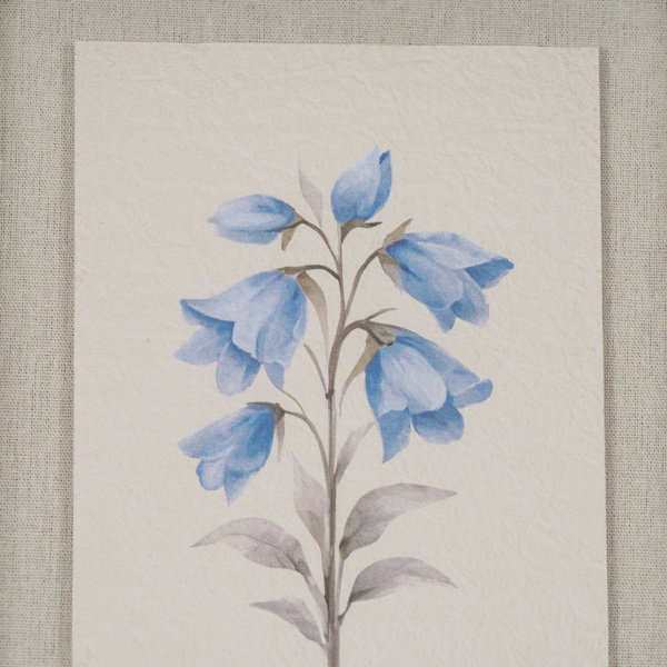 Rosalie Textured Paper Bluebell in Mirrored Frame