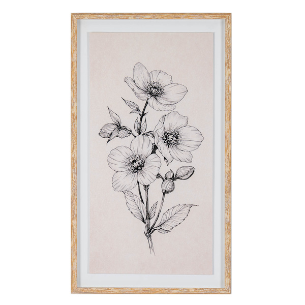 Sketchbook Hellebore in Frame