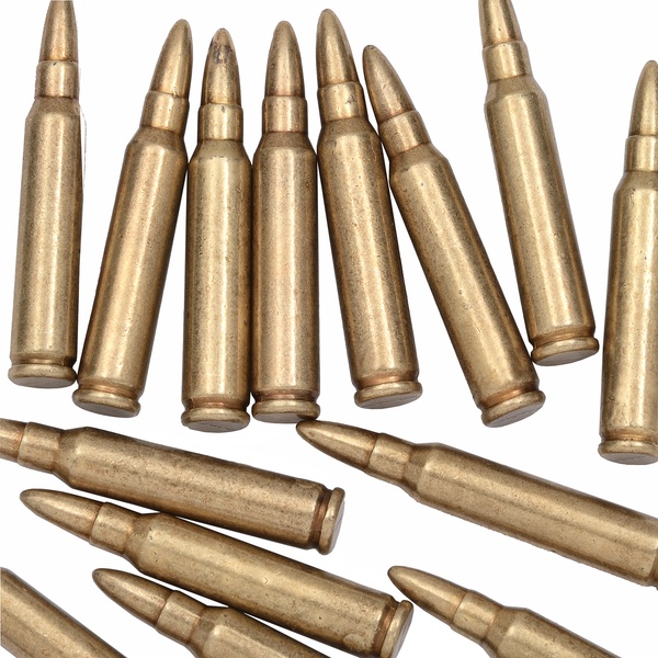 M16A1 Assault Rifle Bullet