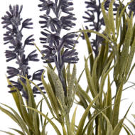 Small Lavender Spray - Thumb 5