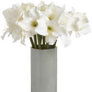 Classic White Amaryllis Flower - Thumb 3