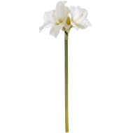 Classic White Amaryllis Flower - Thumb 4