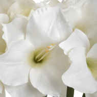 Classic White Amaryllis Flower - Thumb 5