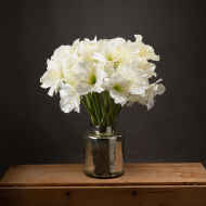Classic White Amaryllis Flower - Thumb 1
