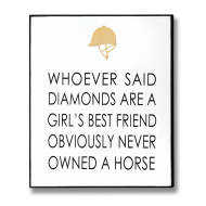 Owned A Horse Gold Foil Plaque - Thumb 1