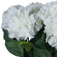 White Small Head Hydrangea - Thumb 6