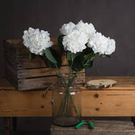 White Small Head Hydrangea - Thumb 1